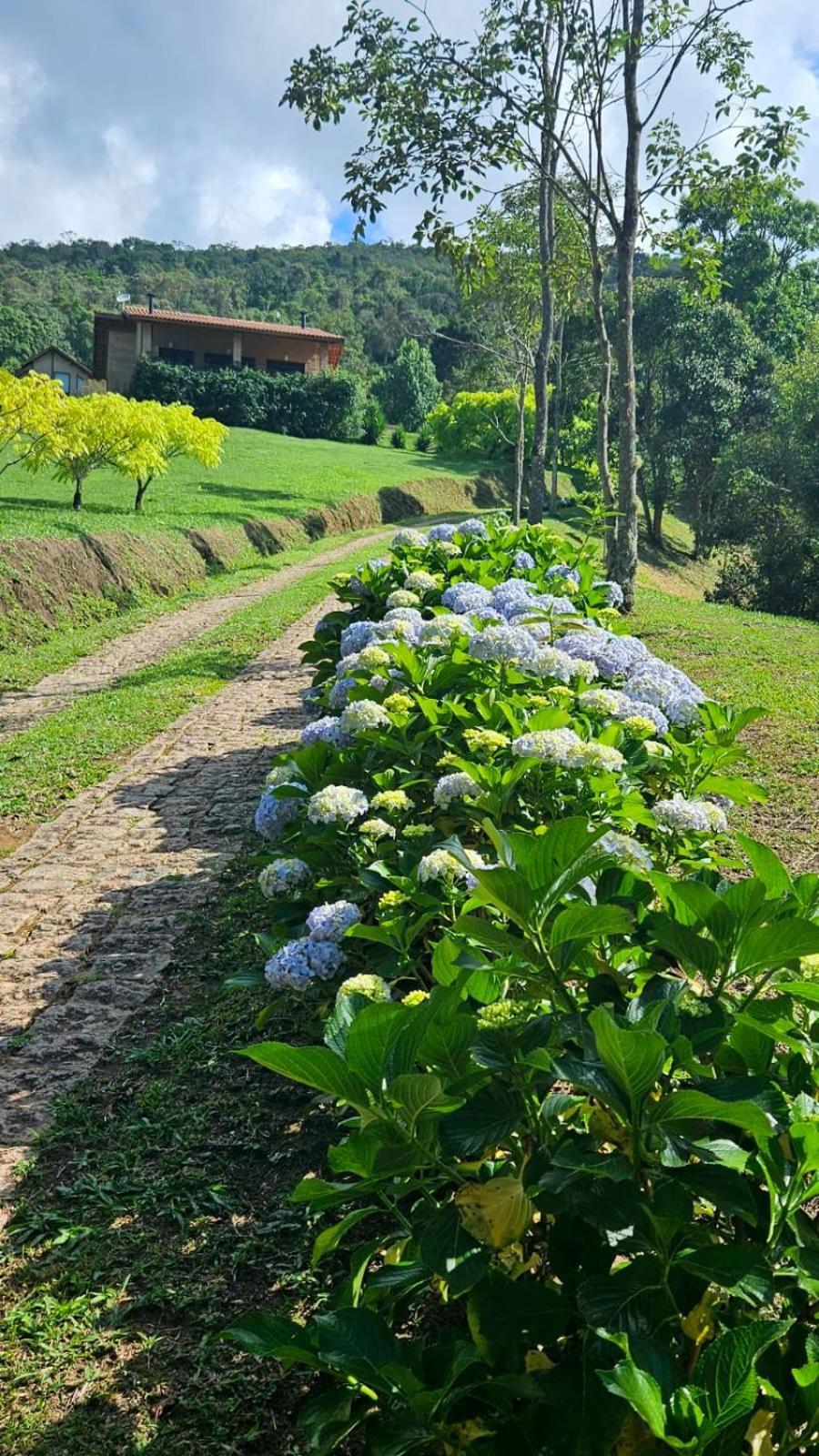 Chales Boa Vista Villa กอนซัลวิซ ภายนอก รูปภาพ